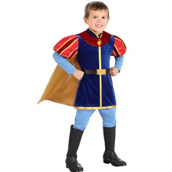 HalloweenCostumes.com Boy's Toddler Disney Sleeping Beauty Prince Phillip Costume