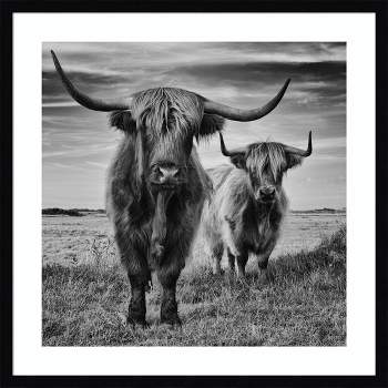 25" x 25" Highland Cow Couple by Stephane Pecqueux Wood Framed Wall Art Print - Amanti Art