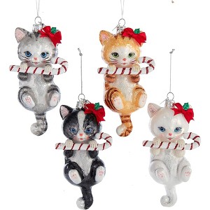 Kurt Adler Noble Gems Glass Ornaments for Christmas Tree, Cats with Candy Canes, Assorted (Pack of 4) - 1 of 1