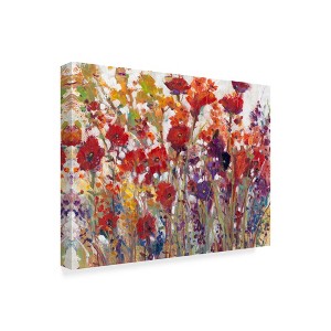 Trademark Fine Art -Tim Otoole 'Variety Of Flowers I' Canvas Art - 1 of 4