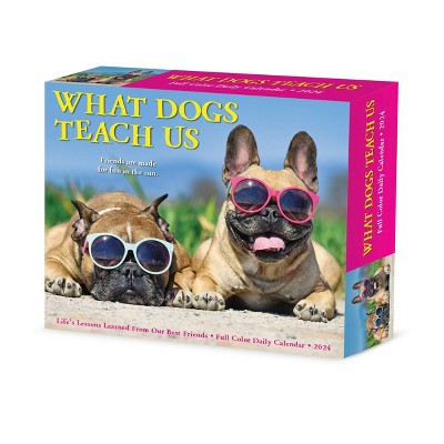 Willow Creek Press 2024 Daily Desk Calendar 5.2"x6.2" What Dogs Teach Us :  Target