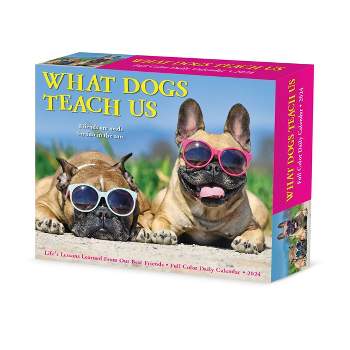 Willow Creek Press 2024 Daily Desk Calendar 5.2"x6.2" What Dogs Teach Us