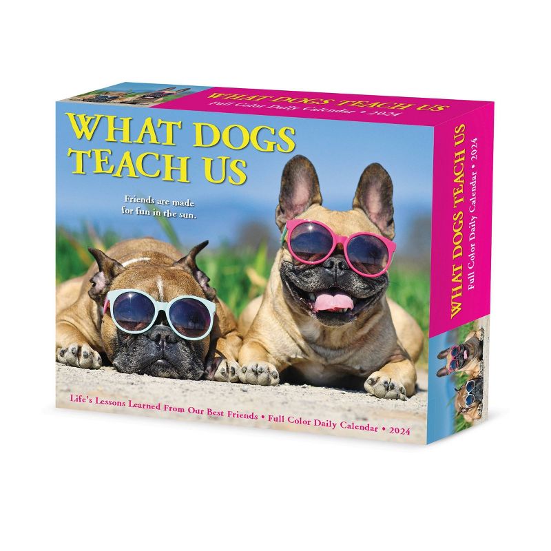 Willow Creek Press 2024 Daily Desk Calendar 5.2&#34;x6.2&#34; What Dogs Teach Us, 1 of 6