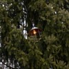 10 Lights Metal Up Lid Electric Café String Lights Bronze: Outdoor Party Incandescent UL Listed, Connects End to End - 4 of 4