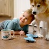 Pavilion Gift Company - Coolest Dog - Canvas Dog Toy on a Rope - Pet Toy - 3 of 4