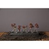 Storied Home Iron Decorative Tray with 5 Glass Vases - Farmhouse Style, Shelf Display, Kitchen Island Decor - image 2 of 3