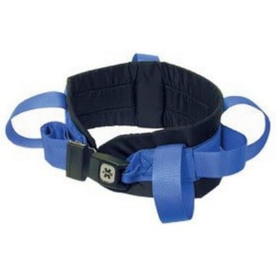 Belt Gait Medium Blue