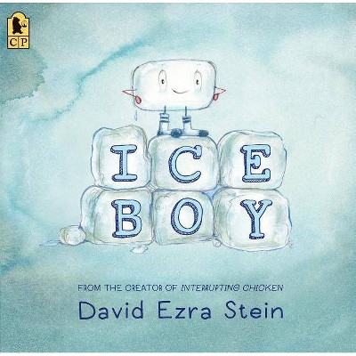 Ice Boy - by  David Ezra Stein (Paperback)