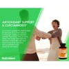 BioEmblem Turmeric Curcumin Supplement with BioPerine Joint Support & Heart Health 90ct - 3 of 4