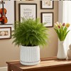 Wooakway 8" Dia Outdoor Indoor Ceramic Planter Pot Decorative Planter with Drainage Hole Patio Flower Pot - 4 of 4