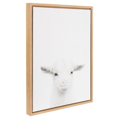Natural Framed Black and White Baby Goat Canvas Art