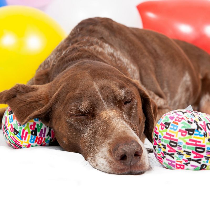 Midlee Plush Birthday Balls Dog Toy- Set of 3, 4 of 8