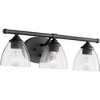 Quorum Lighting Brooks Glass Noir 3-Light Wall Sconce - 2 of 2