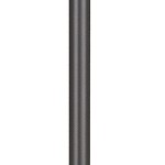 western bronze