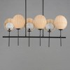 Maxim Lighting Maldives 6 - Light Chandelier in  Black - 3 of 4