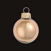 Northlight Chocolate Brown Shiny Finish Glass Christmas Ball Ornament 7" (180mm) - 2 of 4