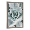 18" x 24" Blake Botanical Succulent Plants Printed Glass Framed Canvas by the Creative Bunch Studio Gray - Kate & Laurel All Things Decor: - 4 of 4