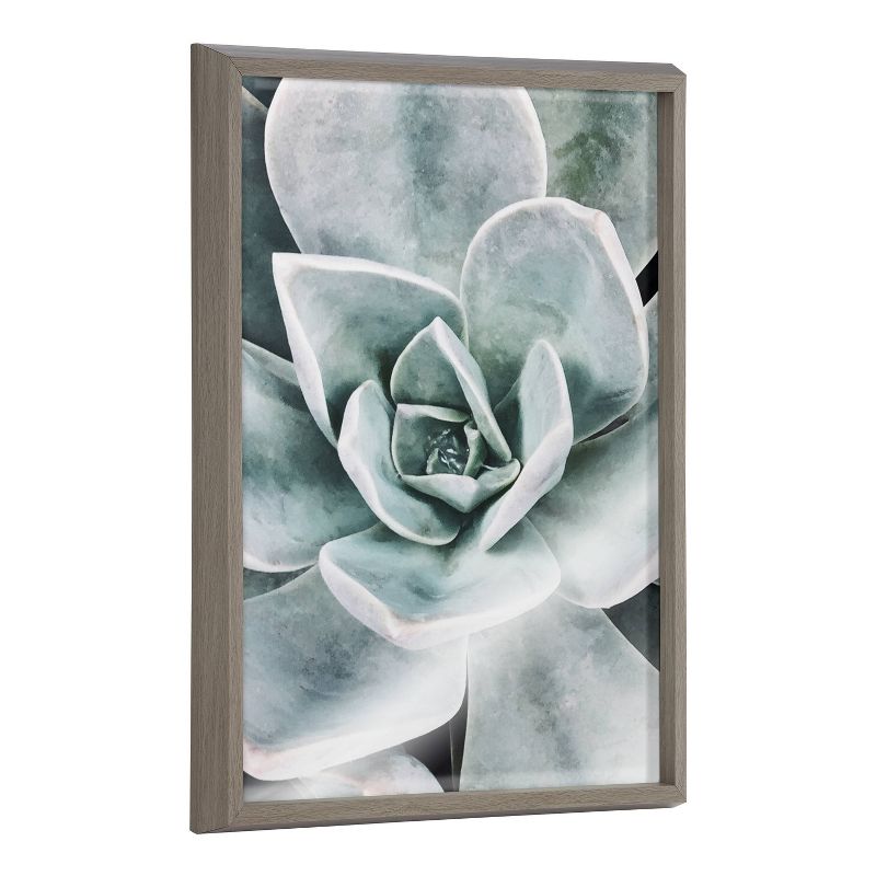 18&#34; x 24&#34; Blake Botanical Succulent Plants Printed Glass Framed Canvas by the Creative Bunch Studio Gray - Kate &#38; Laurel All Things Decor, 1 of 8