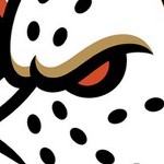 anaheim ducks