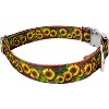 Country Brook Petz Premium Dog Collar - Country and Western Collection - 3 of 4