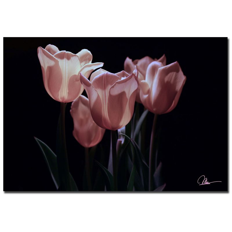 Trademark Fine Art -Martha Guerra, 'Pink Blooms II' Canvas Art, 1 of 2