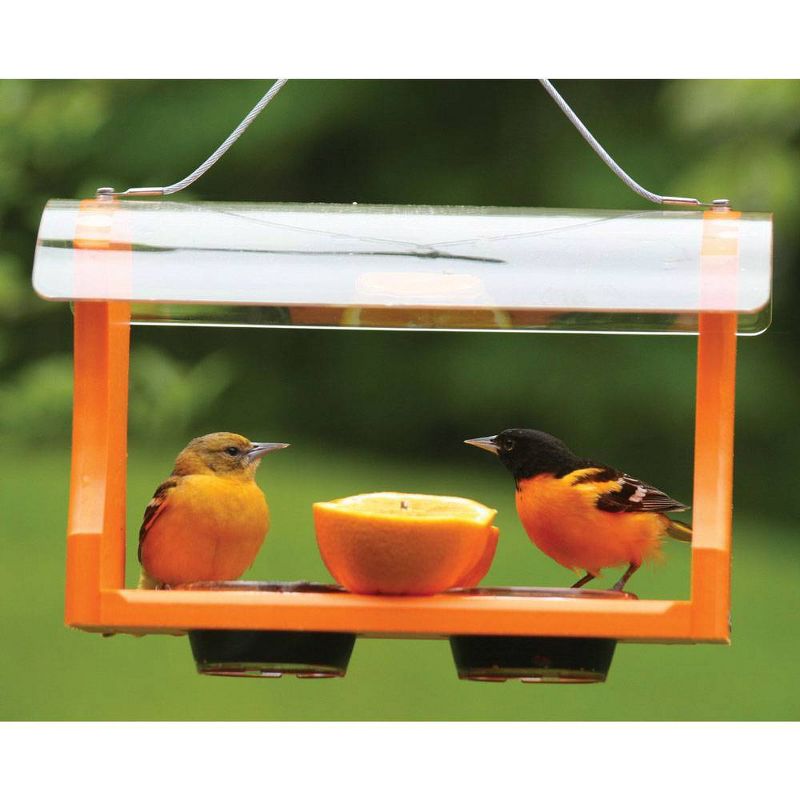 Birds Choice Orange &#38; Jelly Oriole Bird Feeder 7&#34; Orange, 6 of 11