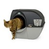 Omega Paw EZ-RA15-1 Elite Roll 'N Clean Self Cleaning Litter Box with  Integrated Litter Step and Unique Sifting Grill, Regular, Gray Easy Fill