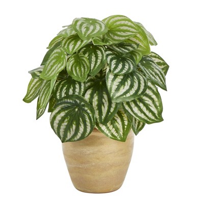 Nearly Natural 11-in Watermelon Peperomia Artificial Plant in Ceramic Planter (Real Touch)