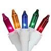 J. Hofert Co 100ct Everglow Mini Christmas String Light Set White Wire - Multi-Color - 3 of 4