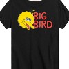 Boys' - Sesame Street - Big Bird Short Sleeve Graphic T-Shirt - 2 of 4