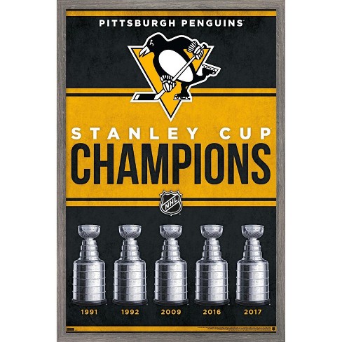 Pittsburgh Penguins 2017 Stanley Cup Champions Framed 10 x 30