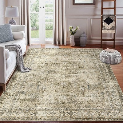 Vintage Area Rugs for Living Room, Washable Carpet Indoor Non Slip Large Area Rugs, Soft Low Pile Rug Foldable Floor Rug