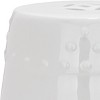 Modern Ming Garden Stool - ACS4516 - Indoor/Outdoor - Safavieh - 4 of 4