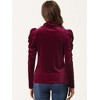 Allegra K Women's Puff Long Sleeve Turtleneck Elegant Velvet Velour Blouses - 3 of 4