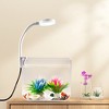 Fish Tank with Clamp Light,Aquarium Starter Kits for Living Room Office Decor Small Betta Fish Tank Anti Slip Base Aquarium Tank - 2 of 4