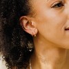 Made By Mary | Capricorn Huggie Hoop Earrings - 3 of 4