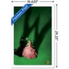 Trends International Wicked - Teaser One Sheet Framed Wall Poster Prints - 3 of 4