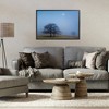 Stupell Industries Blue Silence Landscape Framed Giclee Art - 3 of 4