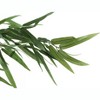 Artificial Plant, 50" Tall, Bamboo Tree, Indoor, Faux, Fake, Floor, Greenery, Potted, Decorative, Green Leaves, Black Pot - 4 of 4