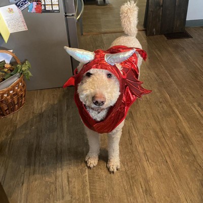 Halloween Red Metallic Devil Dog Hoodie Costume - L - Hyde & Eek! Boutique™  : Target