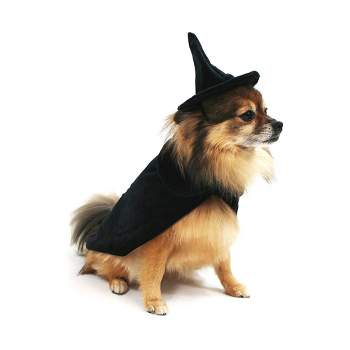 Midlee Scrubs Dog Costume - (X-Large)