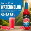 Syruvia Sugar Free Watermelon Syrup - 25.4 fl oz. Premium Flavoring Syrup For Coffee - 2 of 4