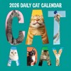 TF Publishing 13.5"x14.5" 2026 Cat-A-Day Wall Calendar - 2 of 4