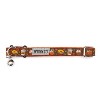 The Worthy Dog Pumpkin Spice Breakaway Adjustable Cat Collar - 3 of 3