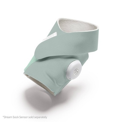 Owlet Dream Accessory Sock - Sleepy Sage : Target