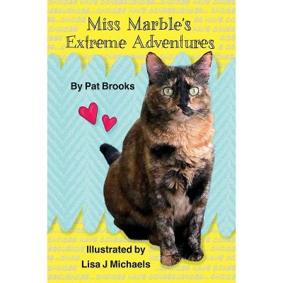 Miss Marble's Extreme Adventures - by  Patricia Brooks Stewart (Paperback)