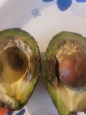 Guest review image 2 of 2, zoom in