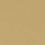 camel gold