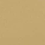 camel gold