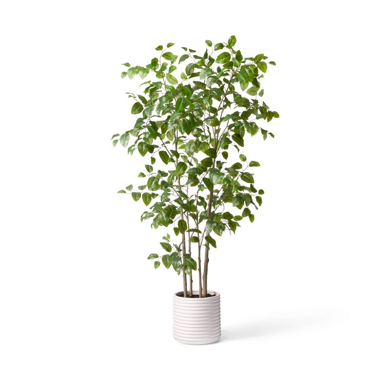 6ft Faux Natal Mahogany Tree in Pot - Hilton Carter for Target, 1 of 4